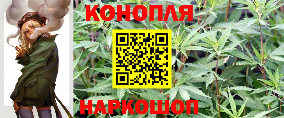 Марихуана сатива  Вход с VPN  Павлово  Канабис план 